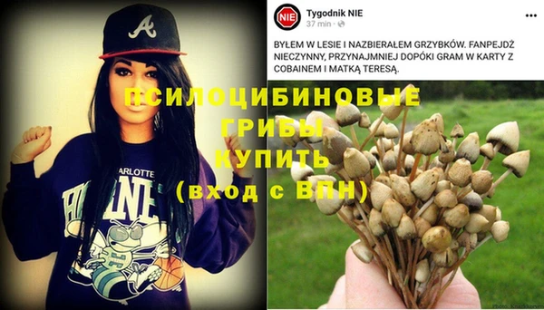 гашик Кукмор