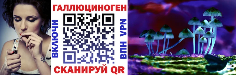 Галлюциногенные грибы Cubensis  mega зеркало  Кызыл  цены  