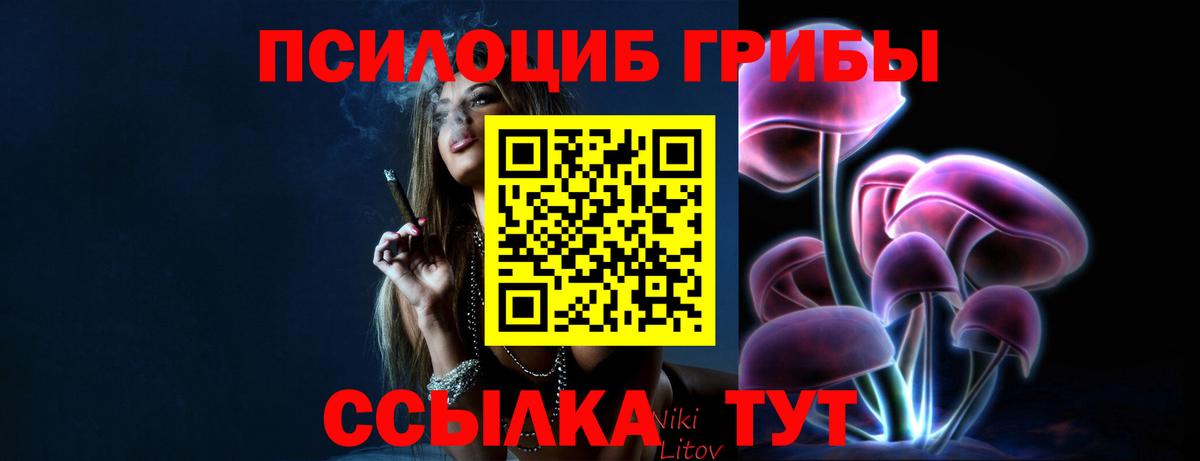 дарнет шоп  Псилоцибиновые грибы мухоморы  Вход с VPN  Кызыл 